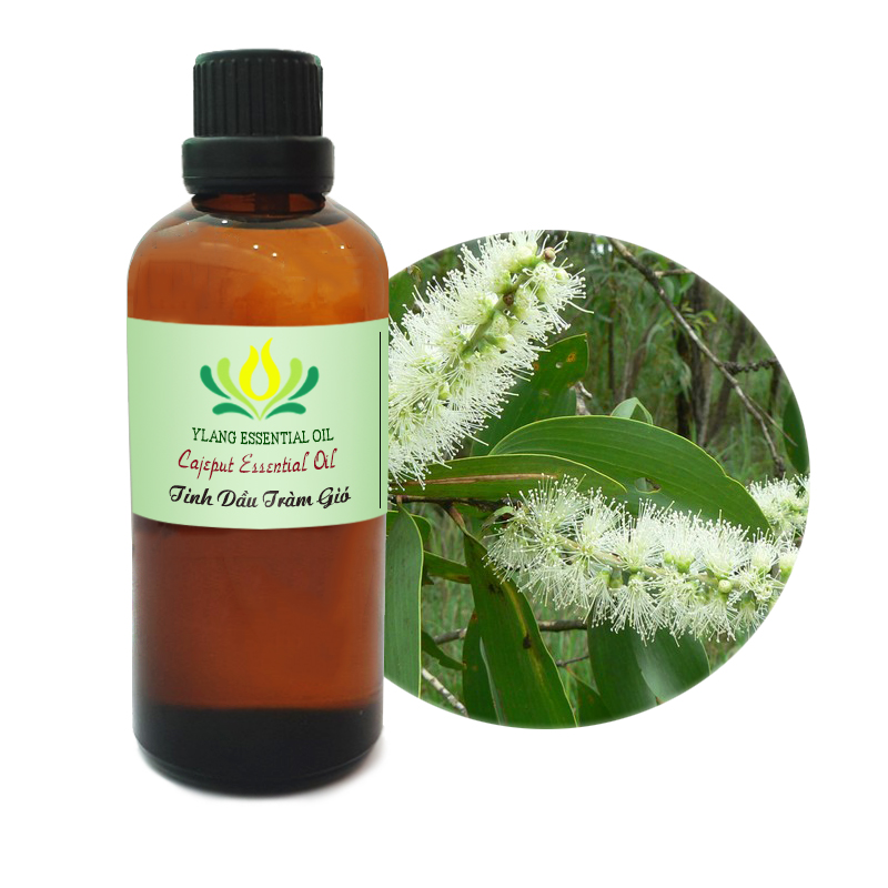 Tinh dầu tràm gió - 100ml