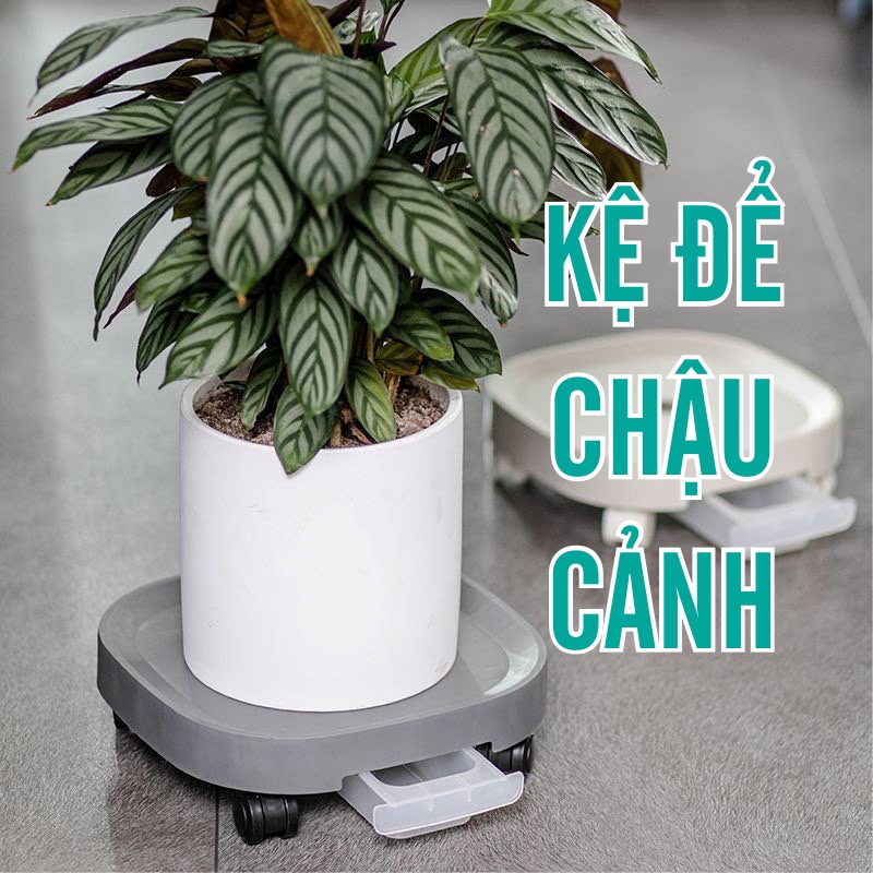 Đế kê chậu cây-đế lót chậu hoa ,cây cảnh có bánh xe di chuyển đa năng , khay hứng nước tiện lợi - bánh xe có khóa chốt vc25