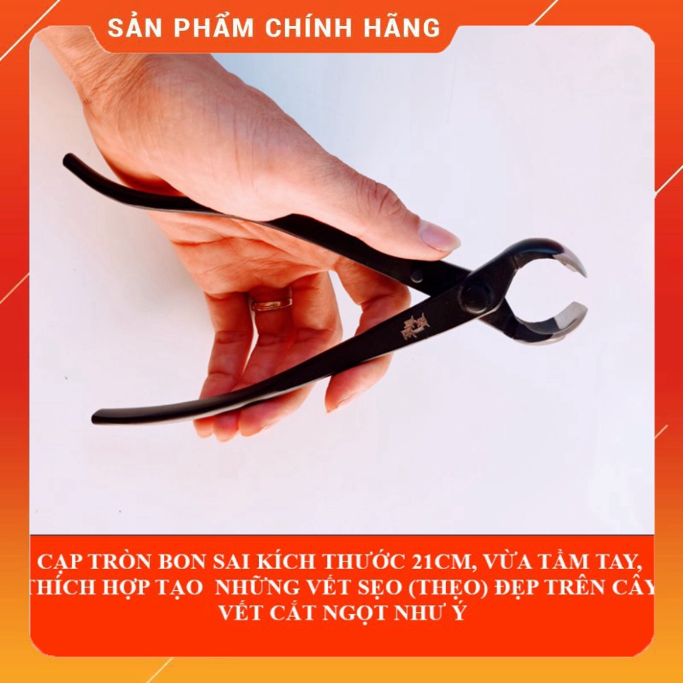 Kìm cạp tròn bonsai (21cm)- cây cảnh CN Nhật Bản chính hãng MSTWA