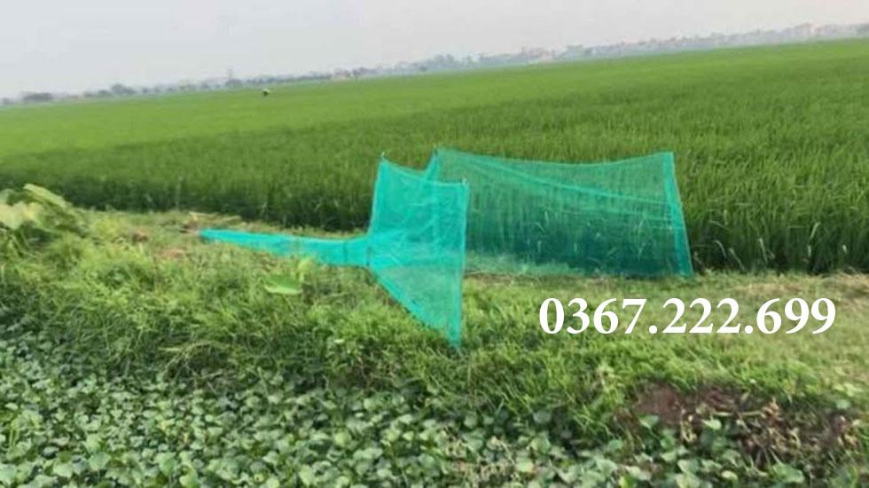 Đăng chặn sông, cống - bắt tôm tép tất cả các loại cá - đăng