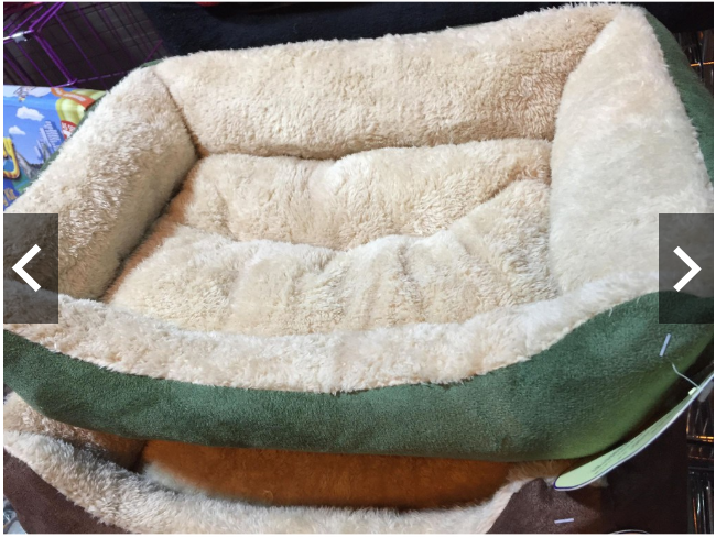 ổ nệm chó mèo hình chữ nhật (50x60x15cm) màu ngẫu nhiên