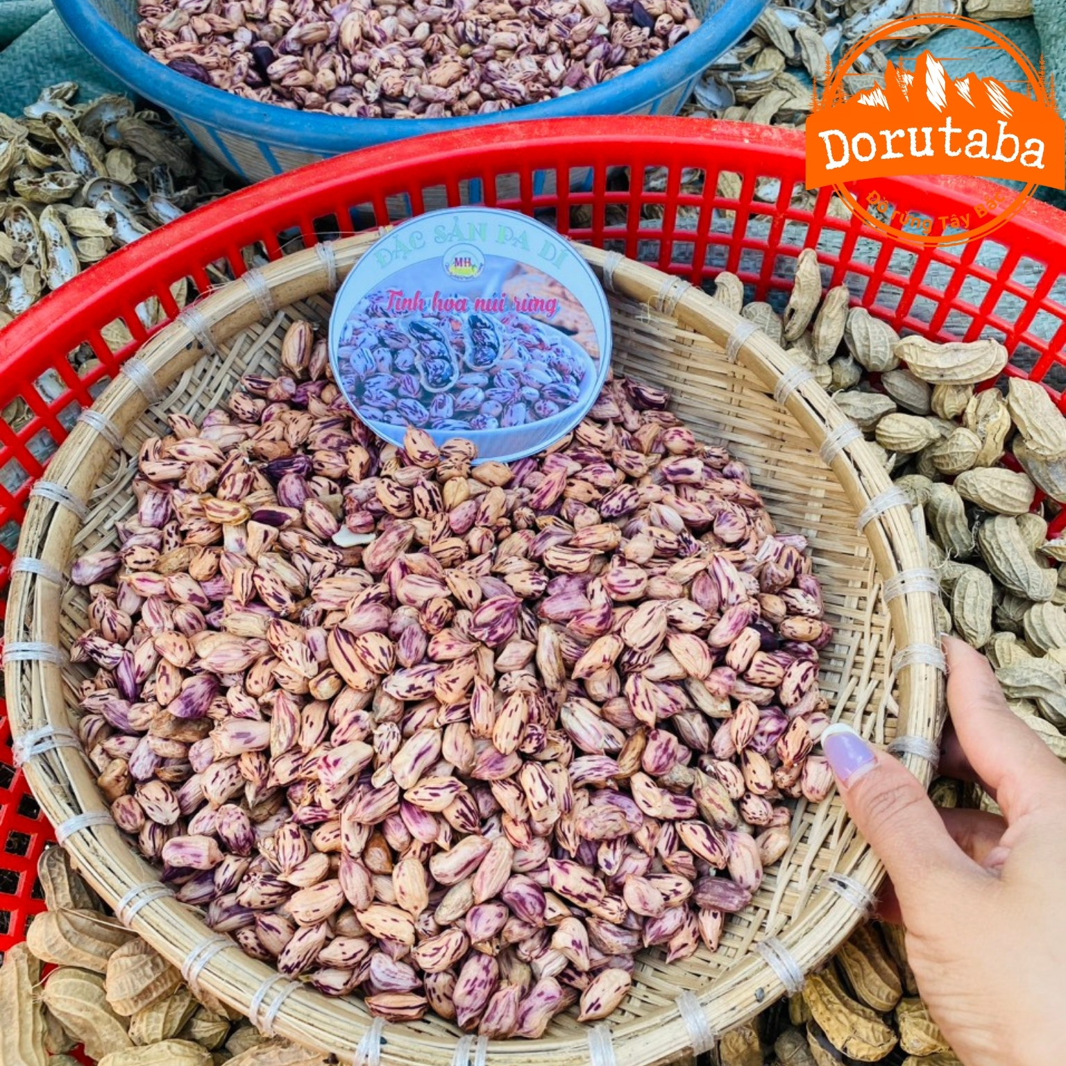 Nhân lạc hoa mèo, hoa vằn khô Pa Dí Mường Khương loại 1. Đặc sản lạc, đậu phộng đen, lạc hoa mèo, hoa vằn Tây Bắc
