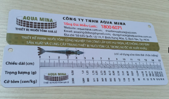 2 Cây thước đo tôm thẻ bằng nhựa