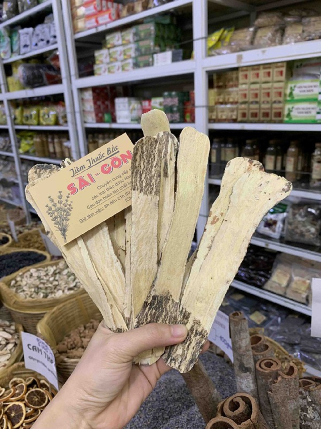 [HCM]CÂY B ẮC K Ỳ HỮU CƠ 100GRAM Tiệm Thuốc Bắc Sài Gòn