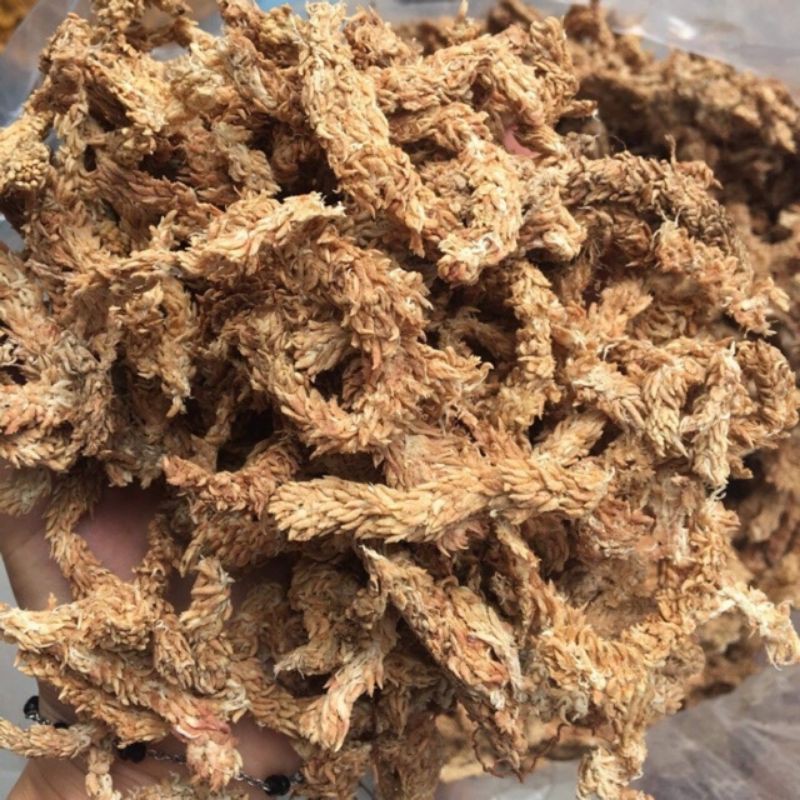 100GR GIÁ THỂ ĐẶC BIỆT CHO LAN- RÊU SÂU CHILE