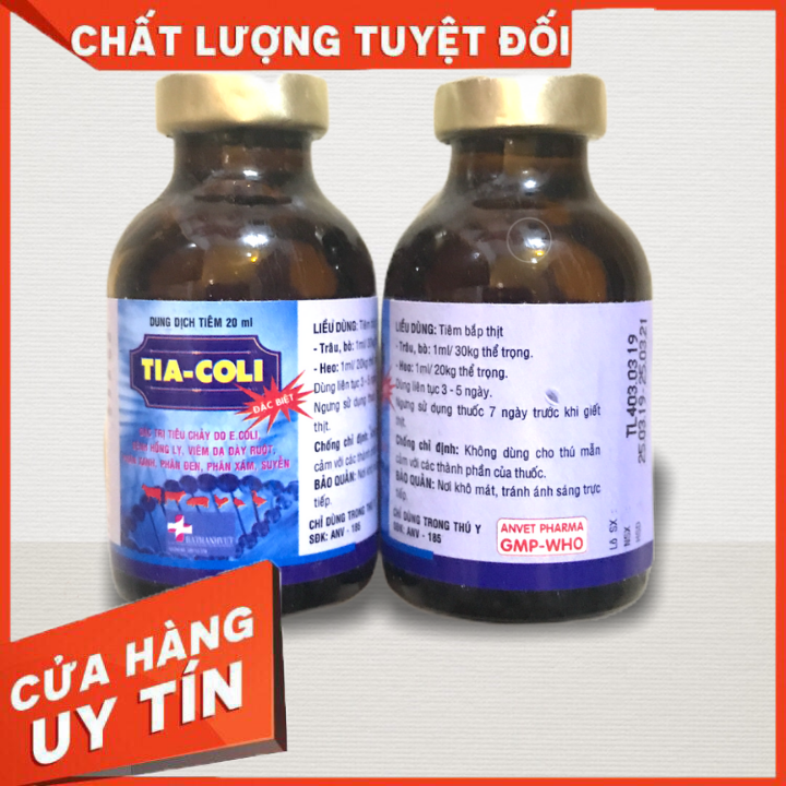Dung dịch TIA-COLI tiêm lợn con tiêu chảy, phó thương hàn, tụ huyết trùng, đặc biệt hiệu quả với trường hợp sốt bỏ ăn