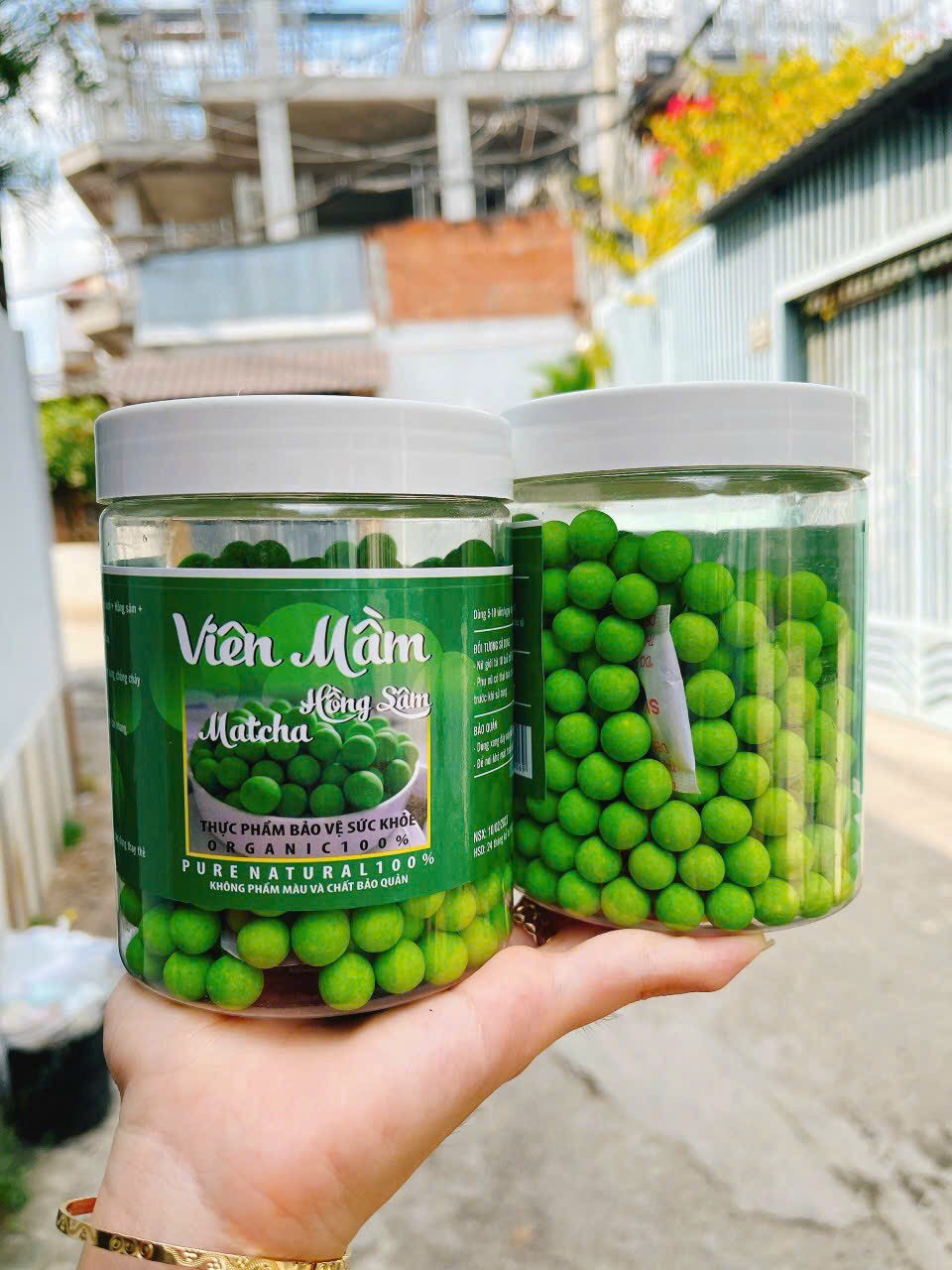 Viên mầm hồng sâm matcha - hộp 500gam