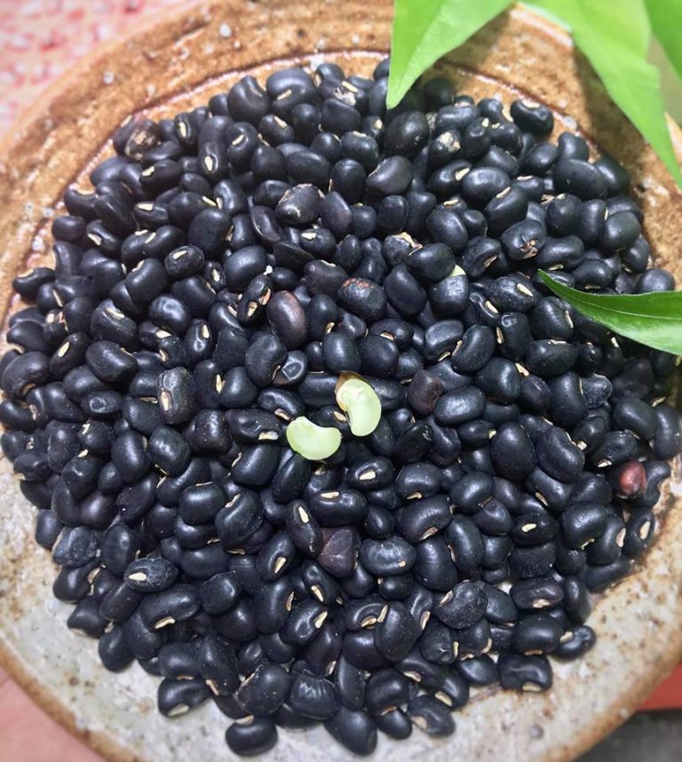 Hcm hạt đậu đen hạt nhỏ túi 1kg
