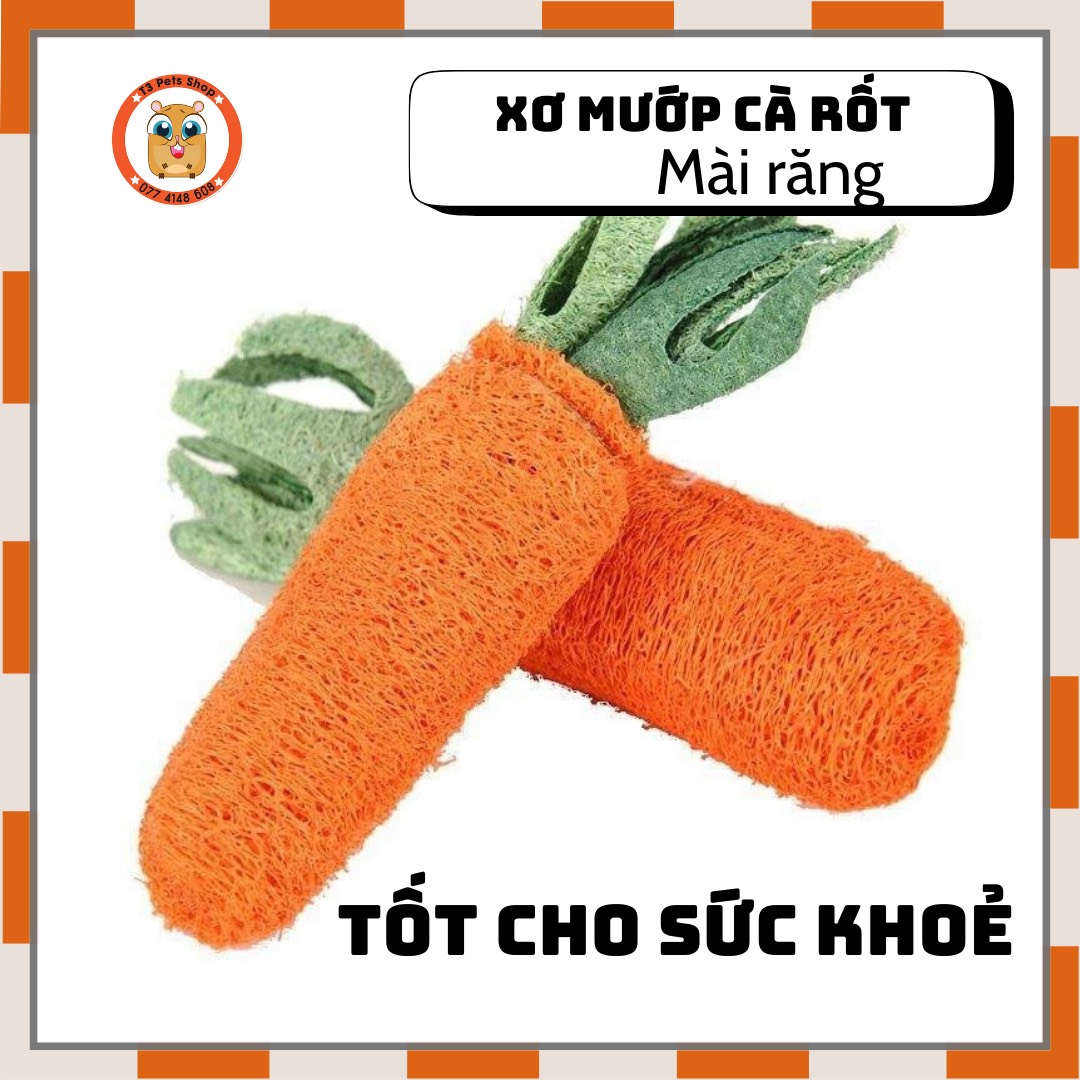 Cà rốt xơ mướp mài răng cho thỏ,hamster, bọ, sóc,...