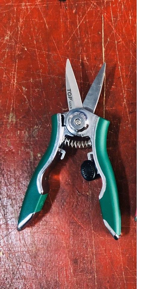Kéo cắt cành 6 inch 150mm mỏ nhọn, cán xanh top cao cấp vgp-0611g