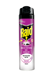 Bình xịt côn trùng Raid không mùi 600ml