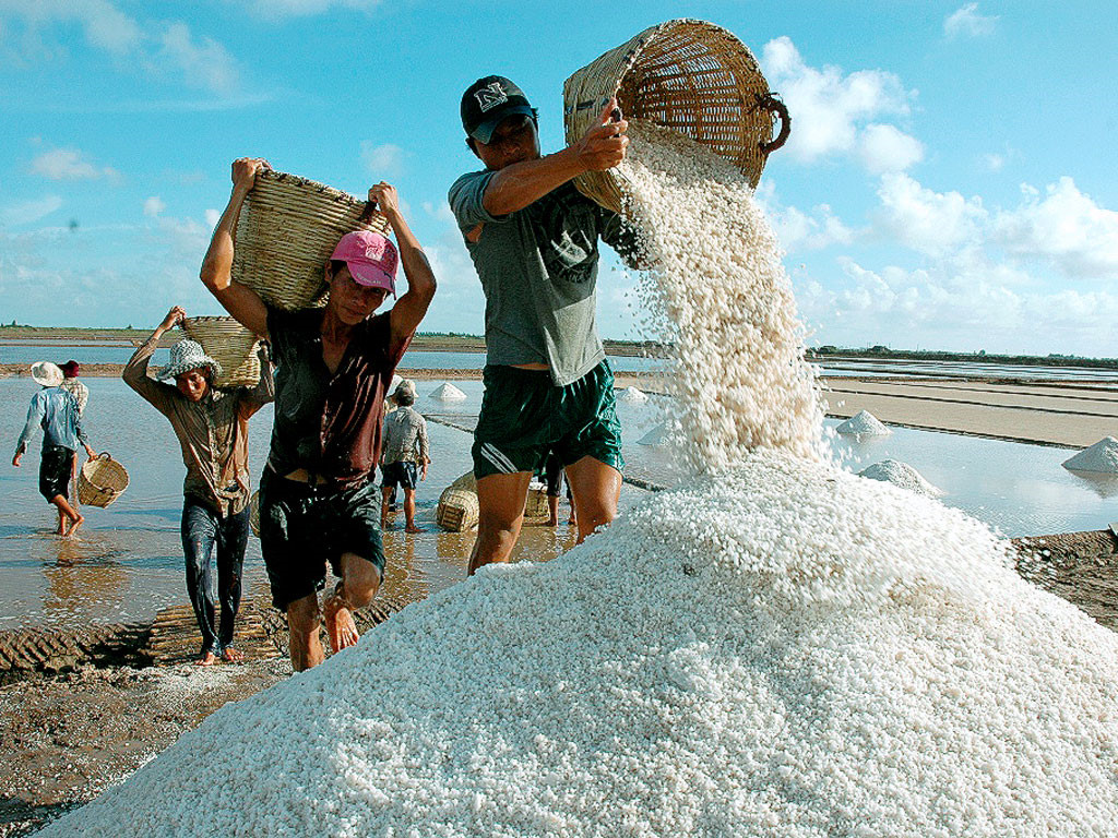 Muối Hột Sạch 1kg - Hỗ Trợ phòng bệnh giảm stress chống sốc cho cá cảnh betta guppy cá chép