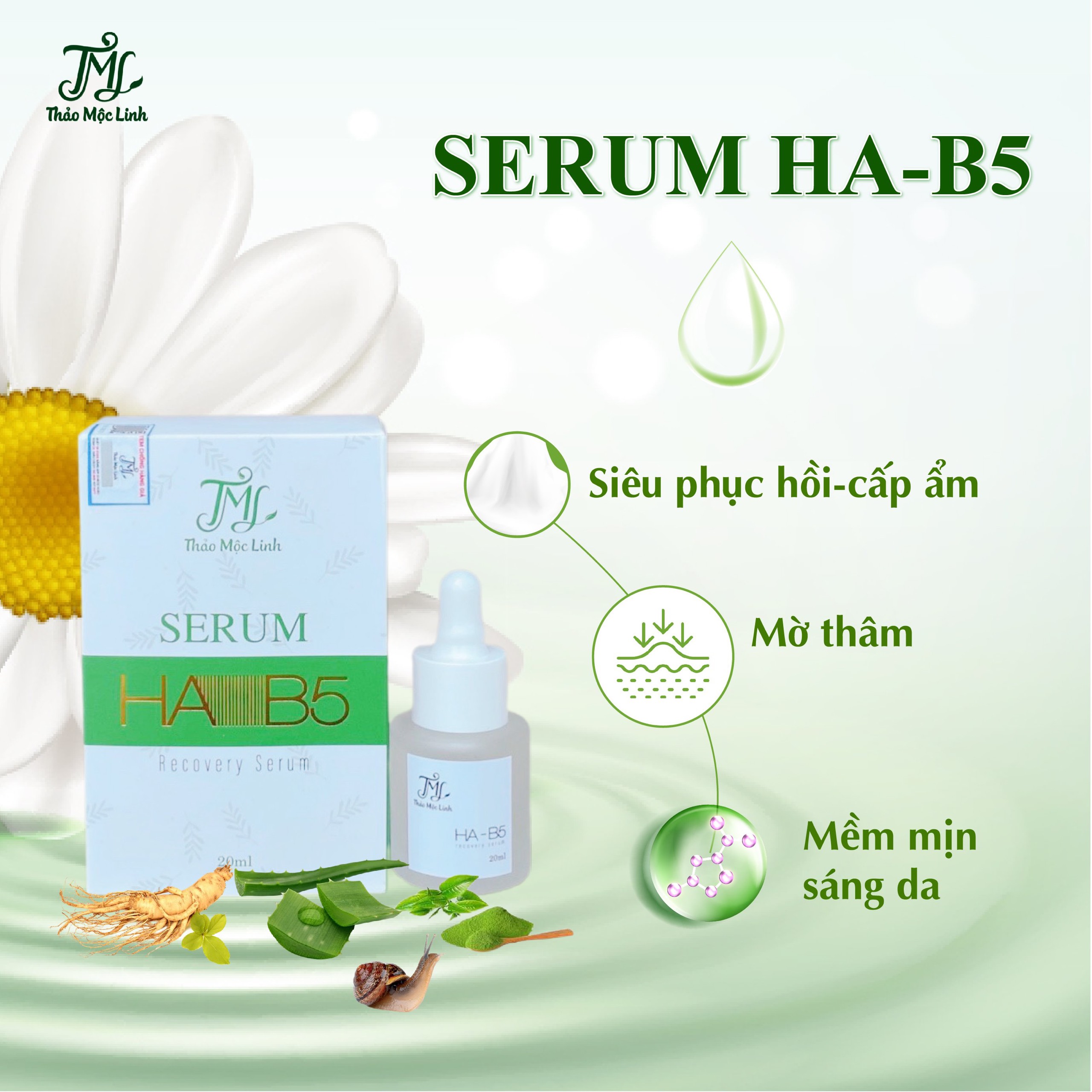Serum HA B5 se khít lỗ chân lông, cấp ẩm da đông y Thảo Mộc Linh
