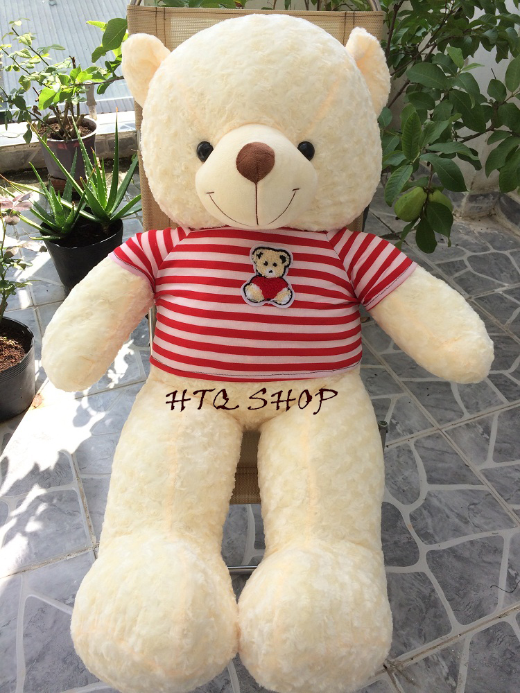 Gấu bông Teddy Cao Cấp khổ vải 1m2 Cao 1M màu Kem