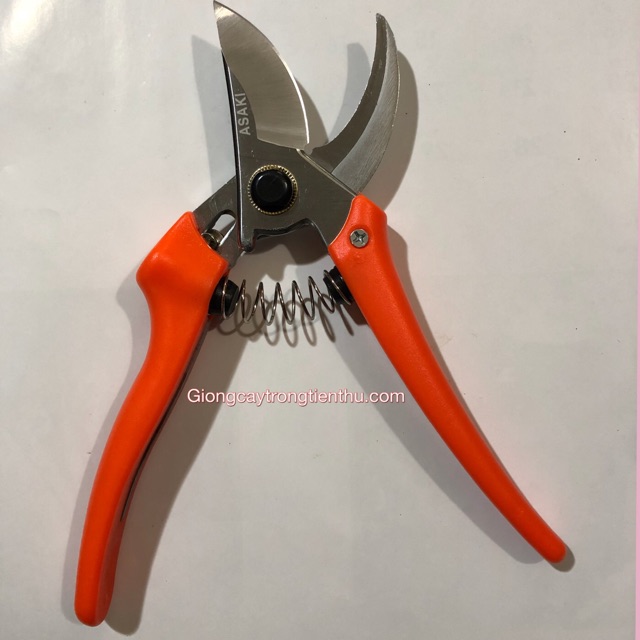 Kéo cắt tỉa cành cây asaki nhật