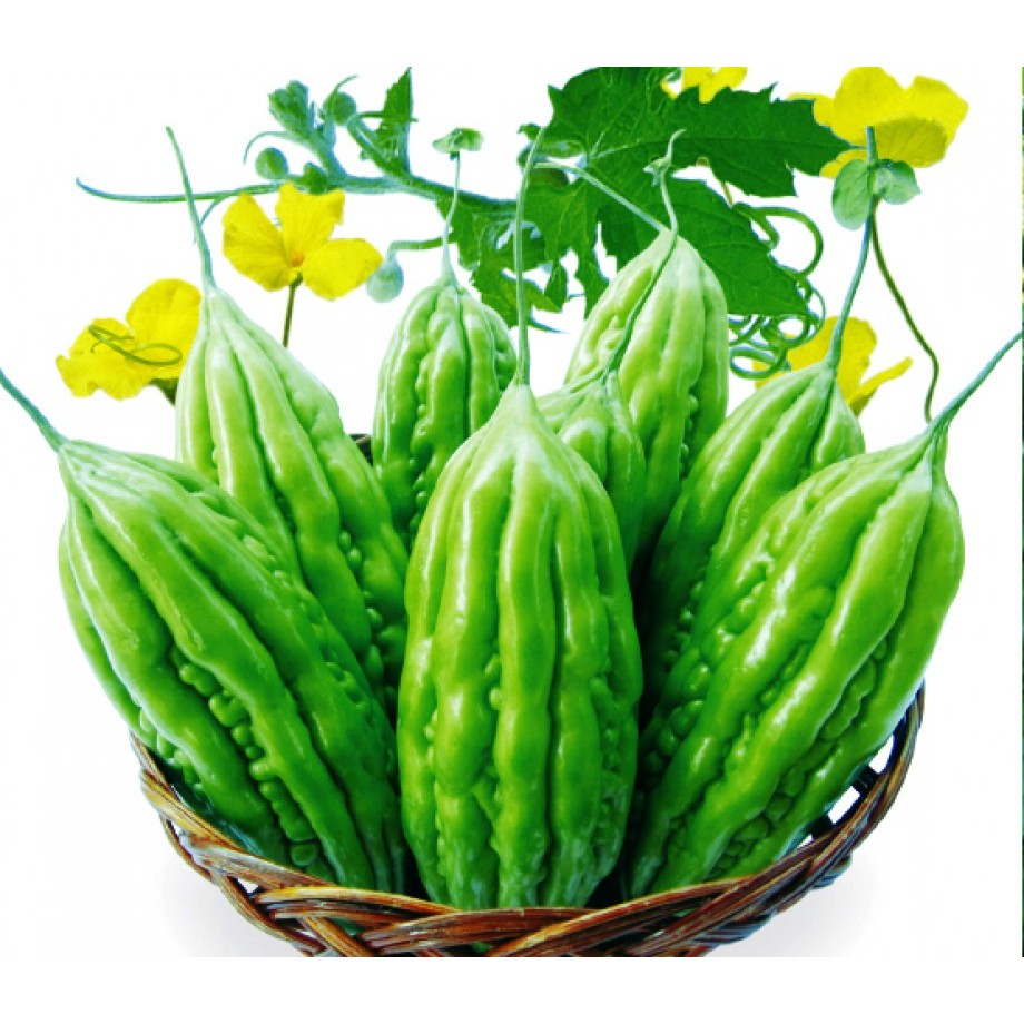 Ma43c hạt giông mướp đắng 5 hạt