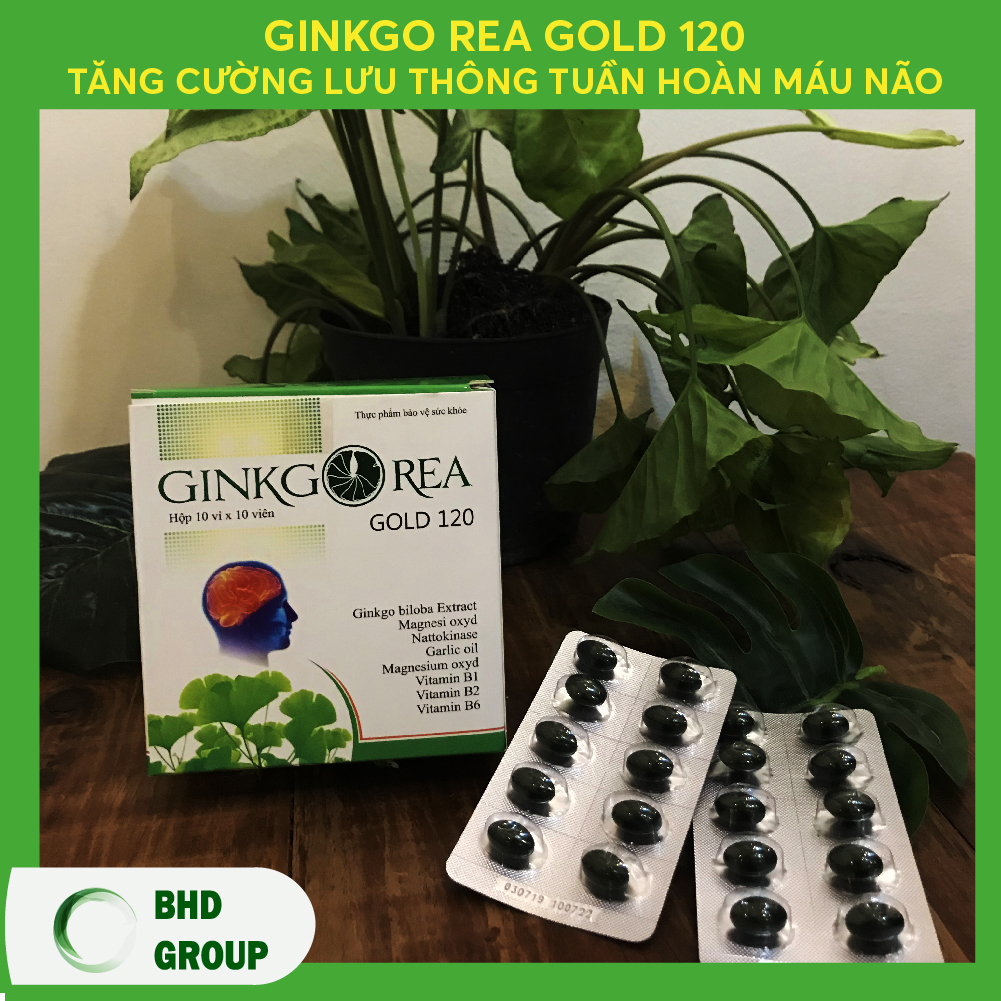 GINKGO BILOBA 120 - GINKGOREA GOLD  - TĂNG CƯỜNG LƯU THÔNG TUẦN HOÀN MÁU NÃO