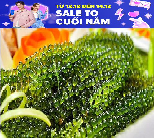 200g rong nho khô - tặng nước sốt mè rang