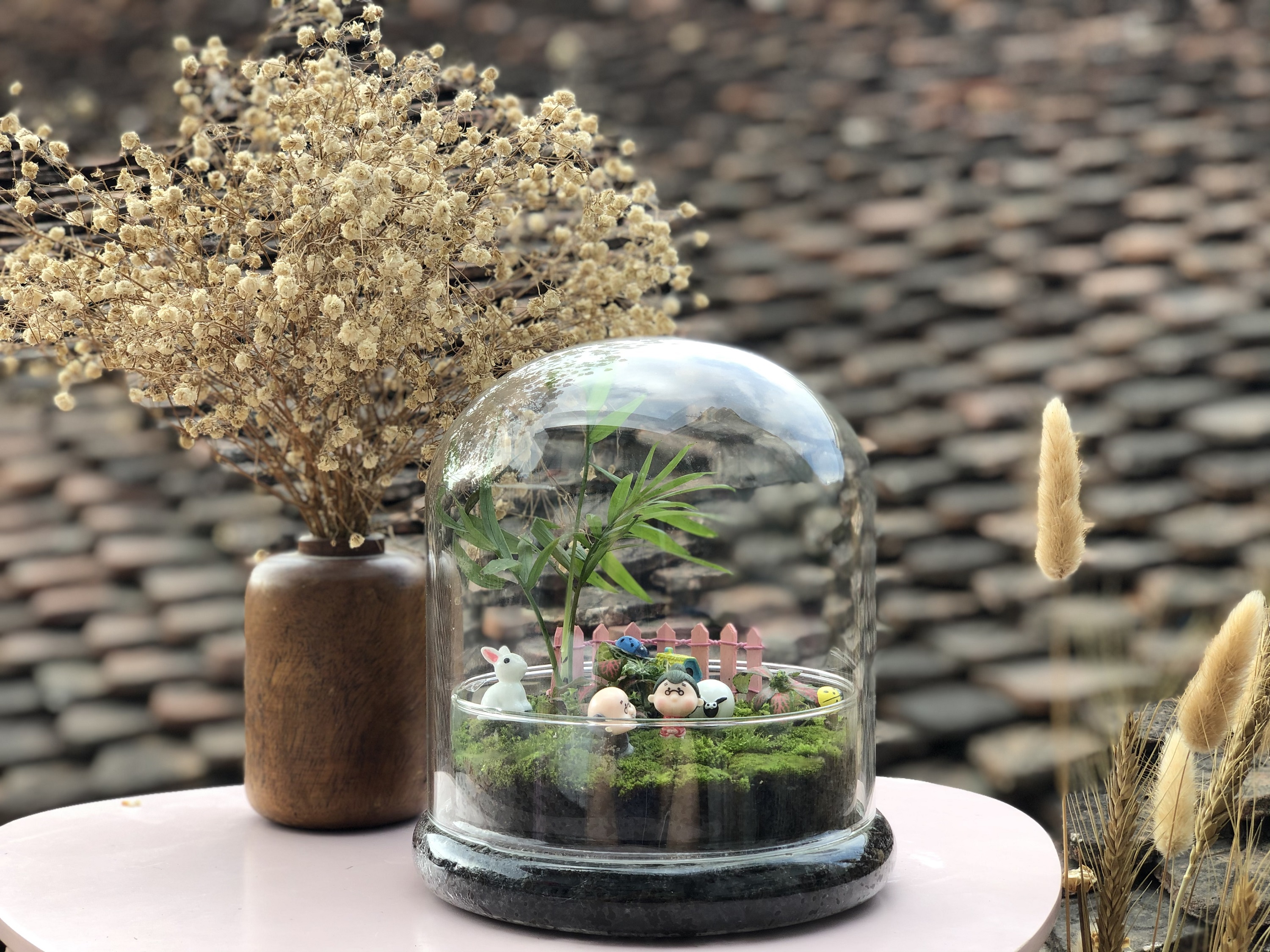 Bình Terrarium - Bình tiểu cảnh