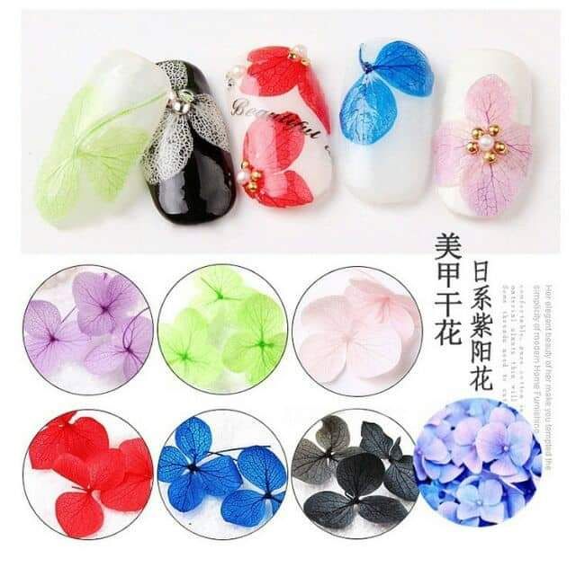 Hoa khô- hoa lụa trang trí móng