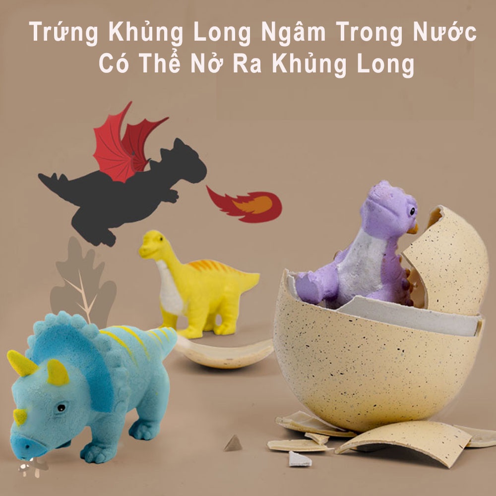 Trứng khủng long ngâm trong nước có thể nở ra khủng long, đồ chơi rèn tính kiên nhẫn và trí tuệ cho bé