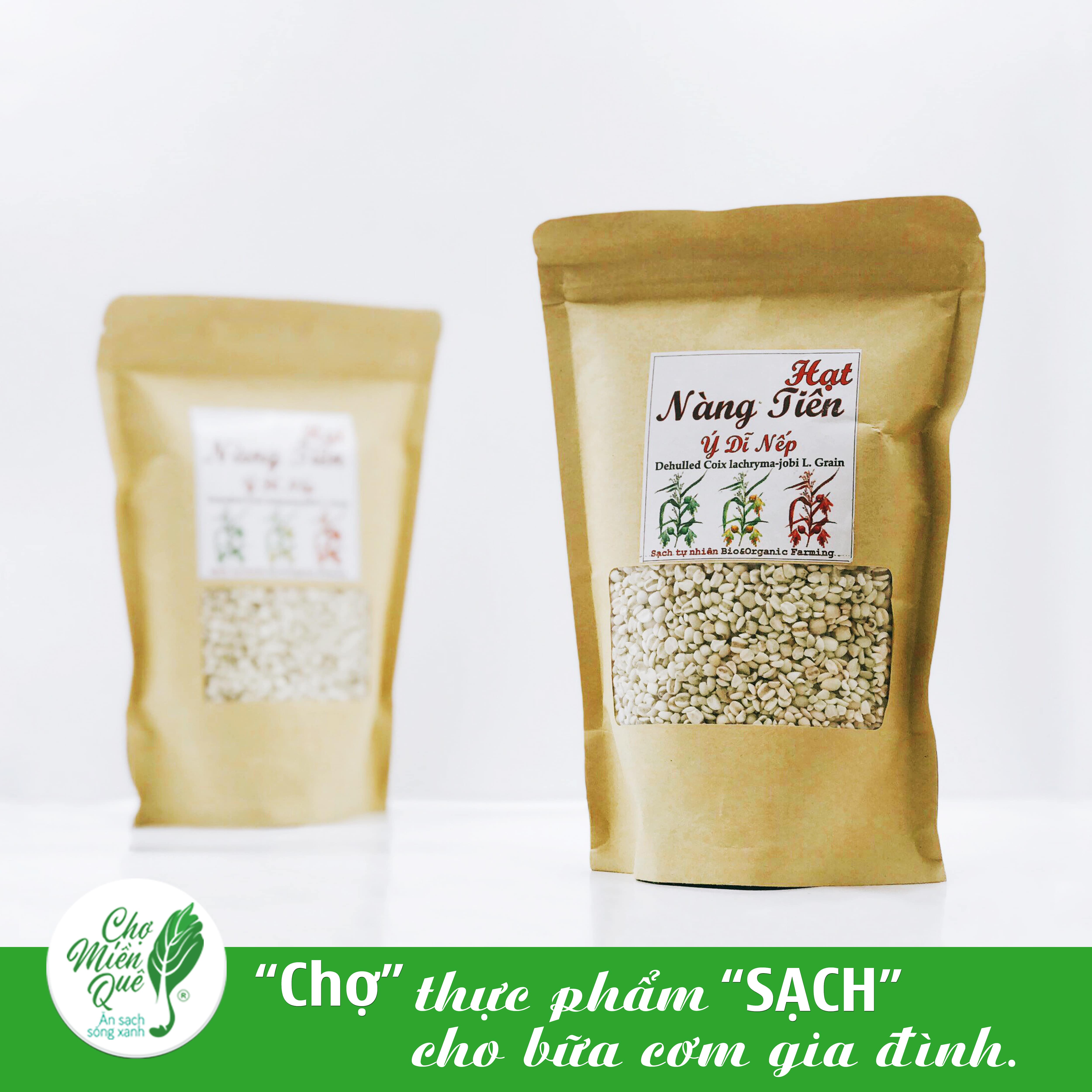 Hạt ý dĩ nếp - cps