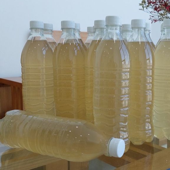 Dấm táo mèo thải độc thanh lọc cơ thể 1000ml