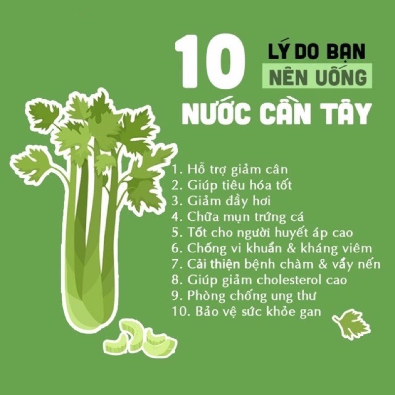 bột cần tây sấy lạnh, bột cần tây giảm cân nguyên chất - thanh lọc cơ thể, rau củ sạch 300gr 2 bột cần tây sấy lạnh, bột cần tây giảm cân nguyên chất - thanh lọc cơ thể, rau củ sạch 300gr 2