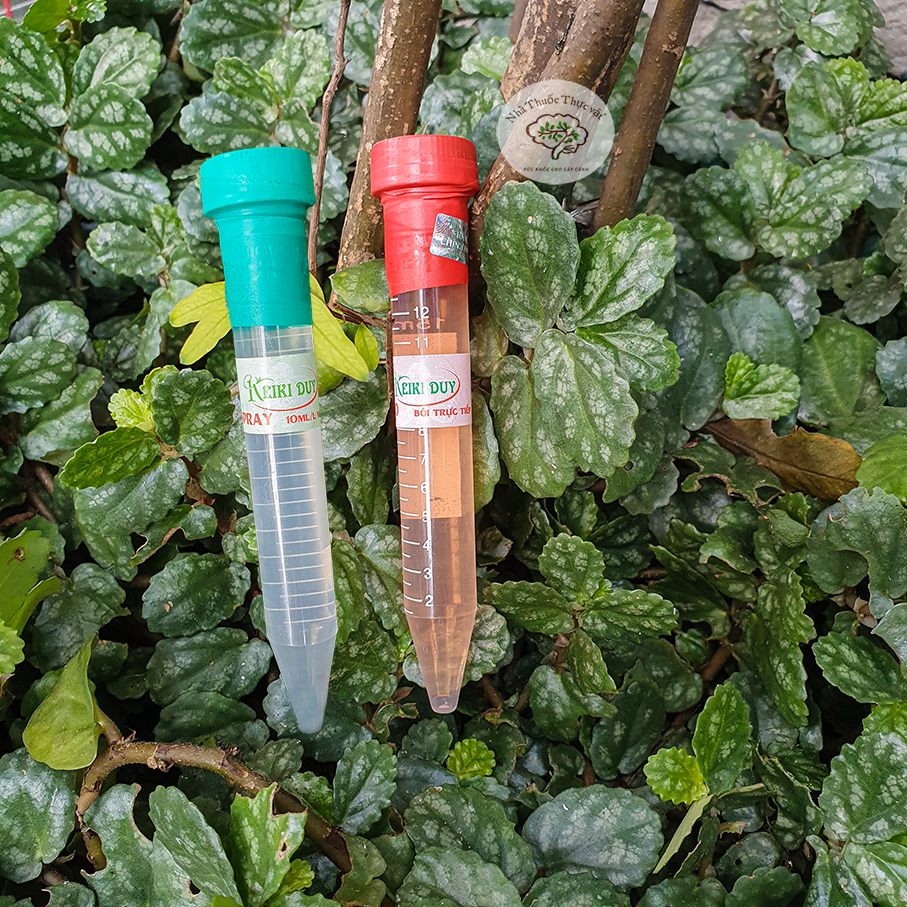 Combo keiki duy xanh đỏ - kích mầm kích chồi hoa lan 10ml