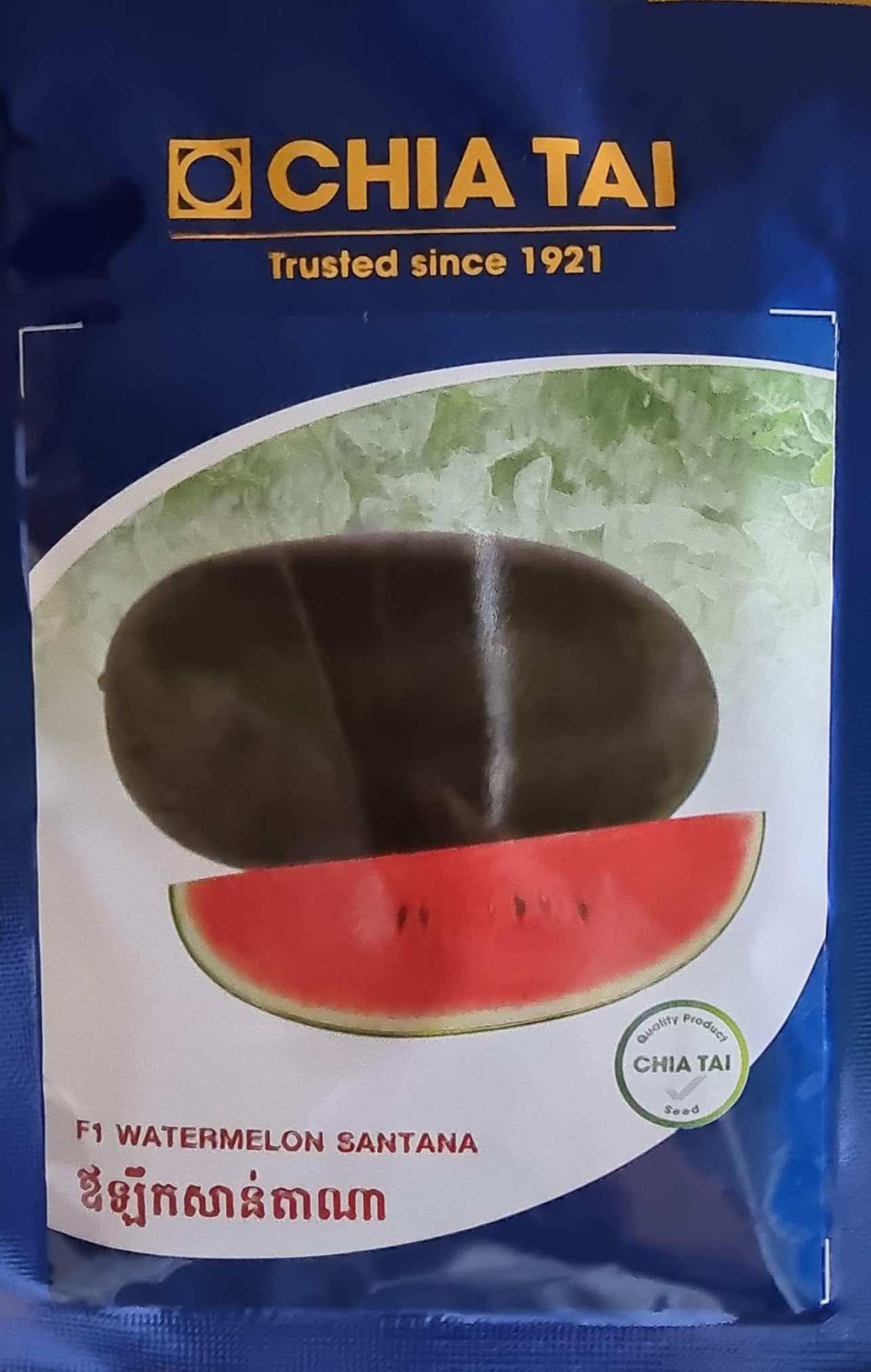 Hạt giống dưa hấu F1 Chia Tai Santana
