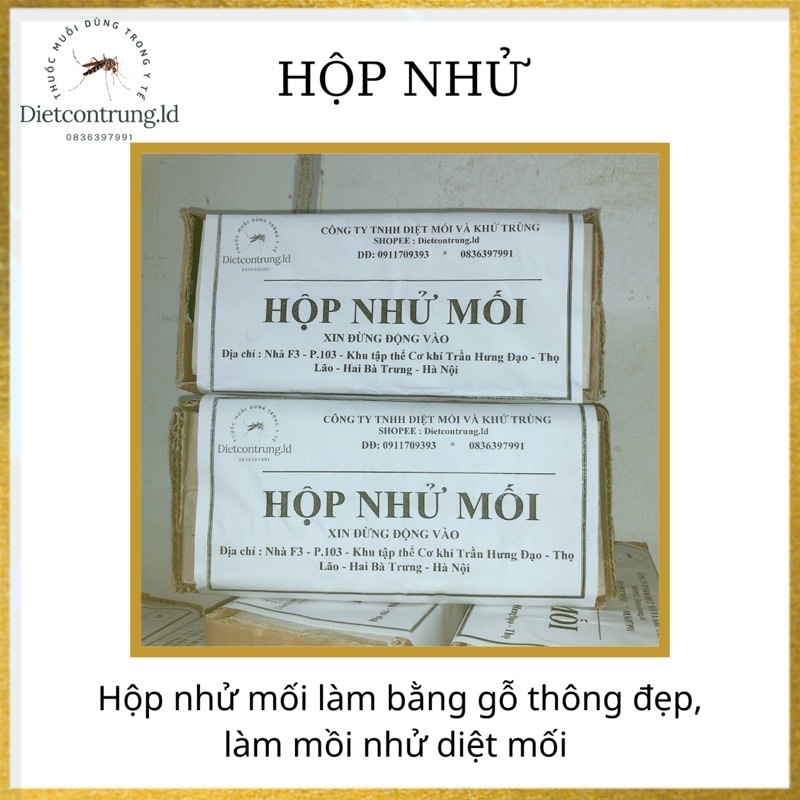 [ Hộp nhử mối làm bằng gỗ thông - dẫn dụ mối ]