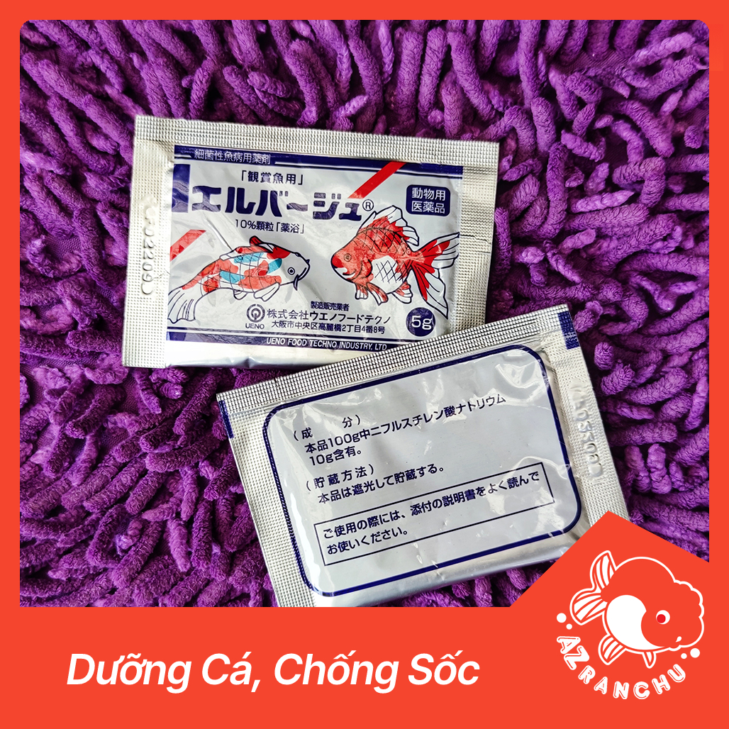 Tetra Nhật | Dưỡng cá, giảm stress, chống sốc - AZRanchu
