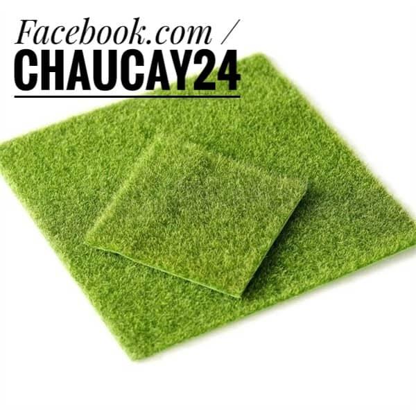[HCM]Phụ kiện tiểu cảnh thảm cỏ lớn trang trí terrarium cây cảnh mini sen đá bonsai
