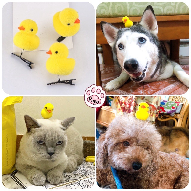 Kẹp Gà con , Vịt con siêu cute cho chó mèo thú cưng và Sen