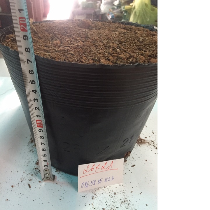 1kg bịch bầu ươm cây cỡ 26x21