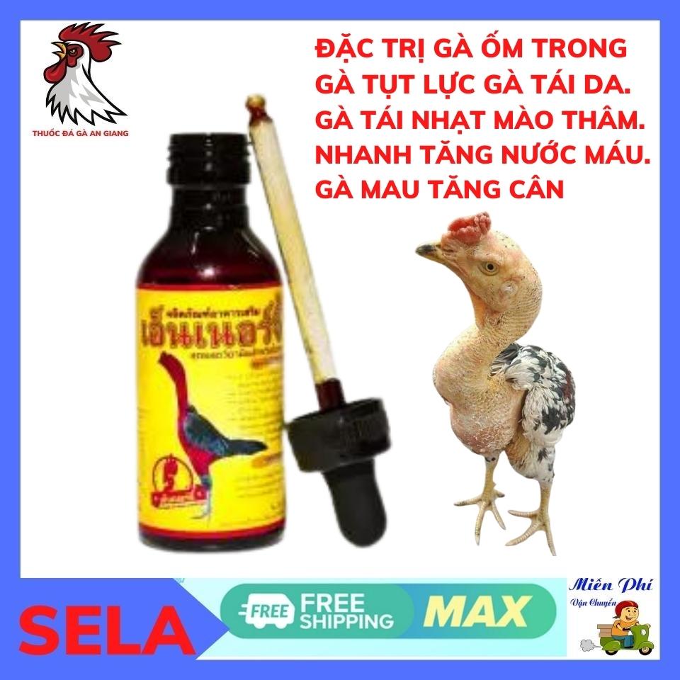 Vitamin ốm trong vàng, ốm trong, khô chân teo lườn, nhợt nhạt, phân xanh, phân trắng phục hồi gà suy sau đá hũ 60ml