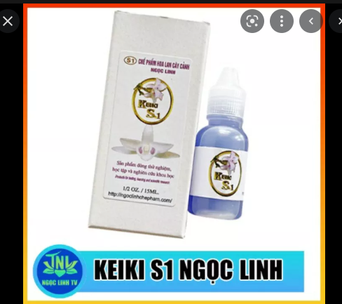 Keiki S1 Ngọc Linh : kích ki từ cuống hoa