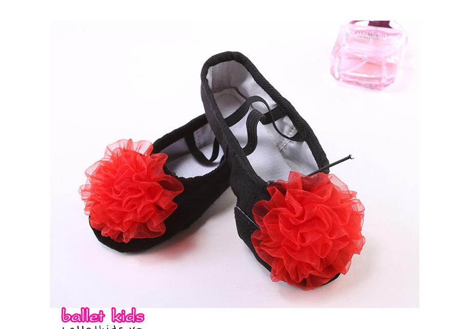 Giày múa ballet trẻ em - Giày đính hoa lớn GMH01