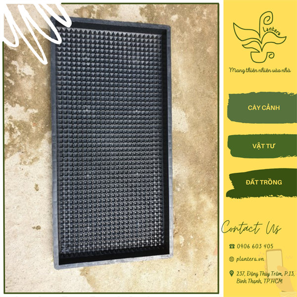 Khay nhựa trồng cỏ lúa mì, rau mầm tokai nhật bản 603x304x39.4mm - khay chậu - khay nhựa trồng rau