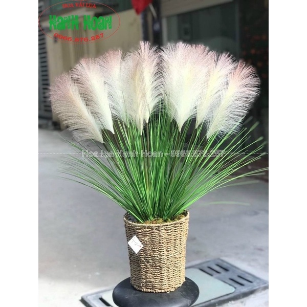 Cành lau 5 bông lớn cao 90cm decor siêu đẹp- hoa giả trang trí