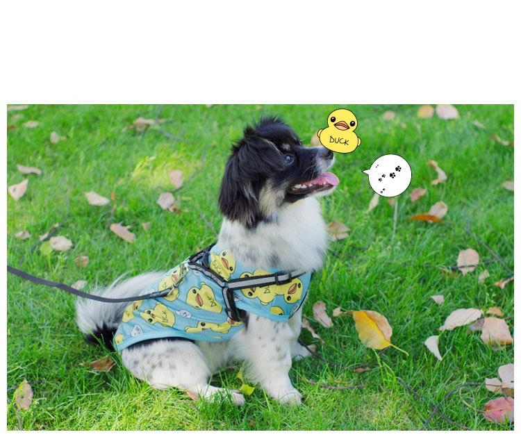 Áo Thun Cho Chó Mèo Áo Thun Hình Vịt Vàng Màu Xanh Cho Thú Cưng
