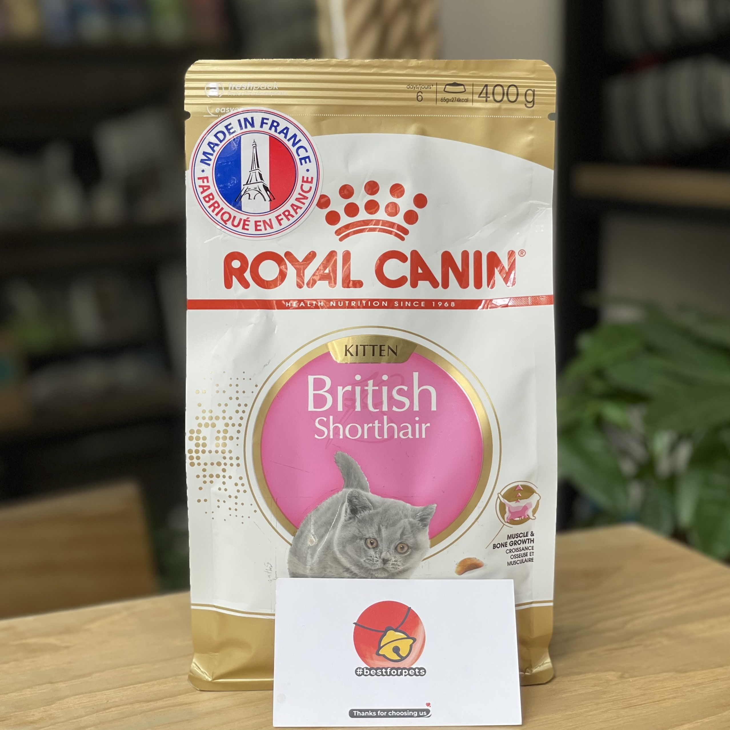 [Hoàn tiền 10%] Hạt Royal Canin British Short Hair Kitten cho Mèo Anh Lông Ngắn dưới 12 tháng tuổi