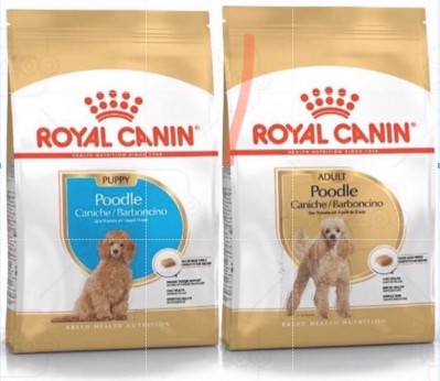 Royal Canin Poodle Adult - Thức Ăn Chó Poodle 1.5kg