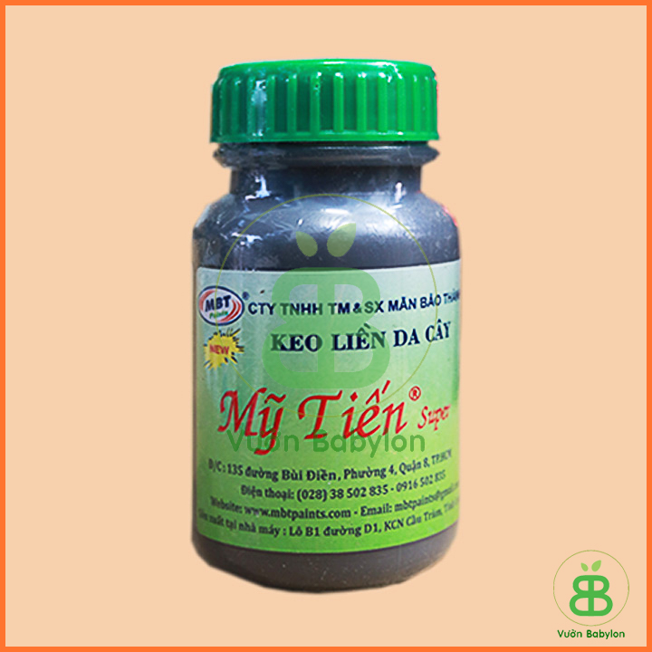 Keo Liền Da Cây - Keo Liền Sẹo Mỹ Tiến Lọ 100G