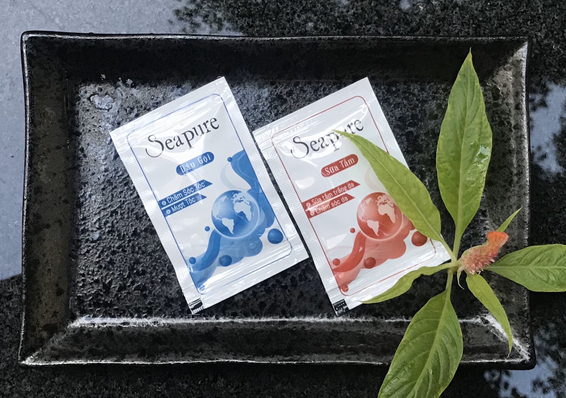 500 gói dầu gội + sữa tắm cho khách sạn