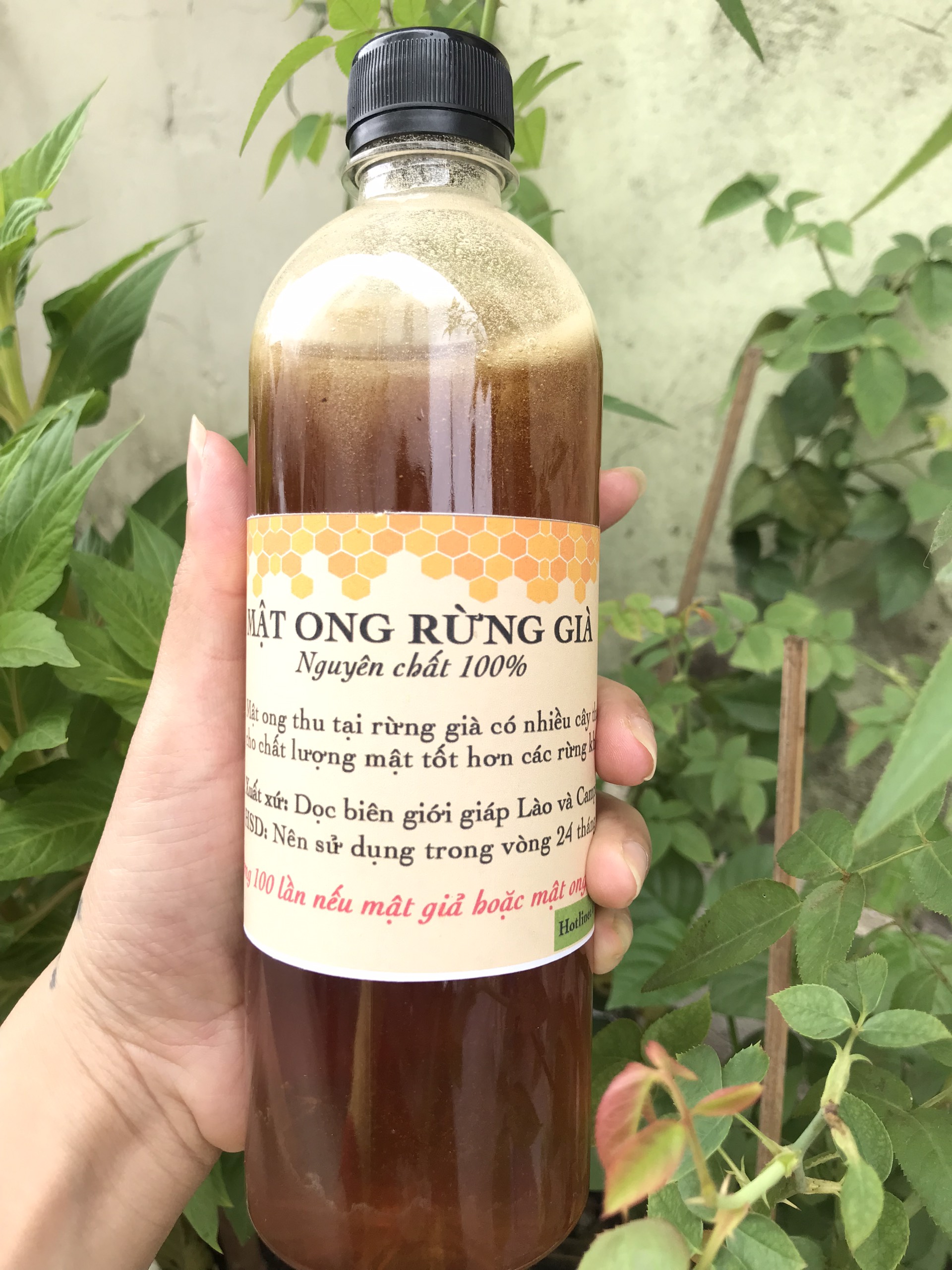 Mật ong hoa cà phê, mật ong hoa nhãn nguyên chất tại vườn