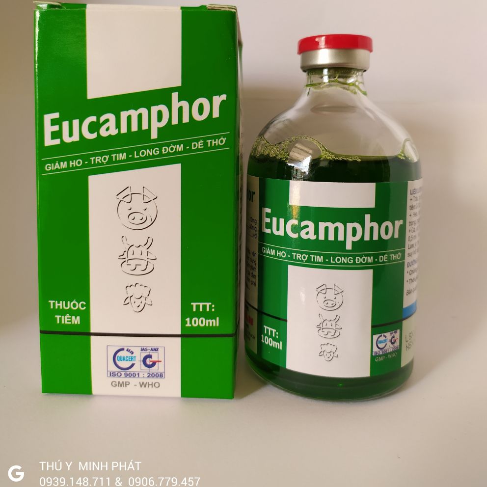 Eucamphor Giảm Ho, Trợ Tim, Long Đờm Dễ Thở Chai 100 ml