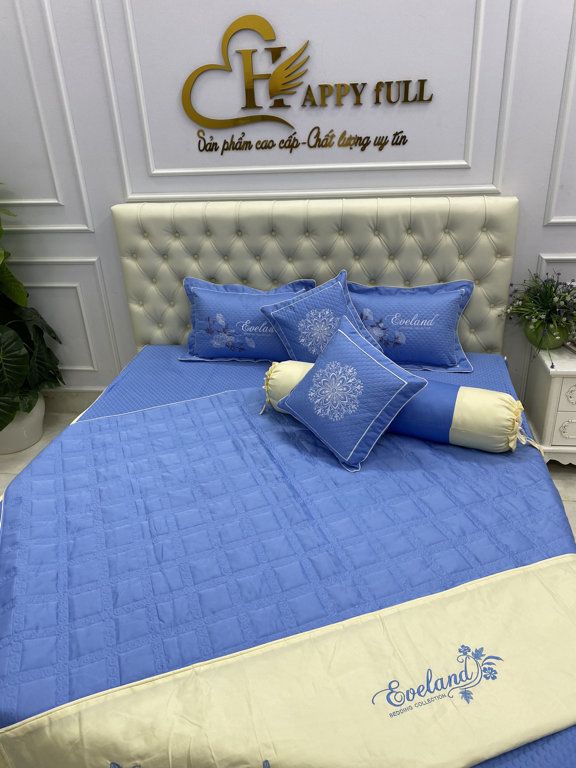 Bộ chăn ga gối chun trần bông 7 món