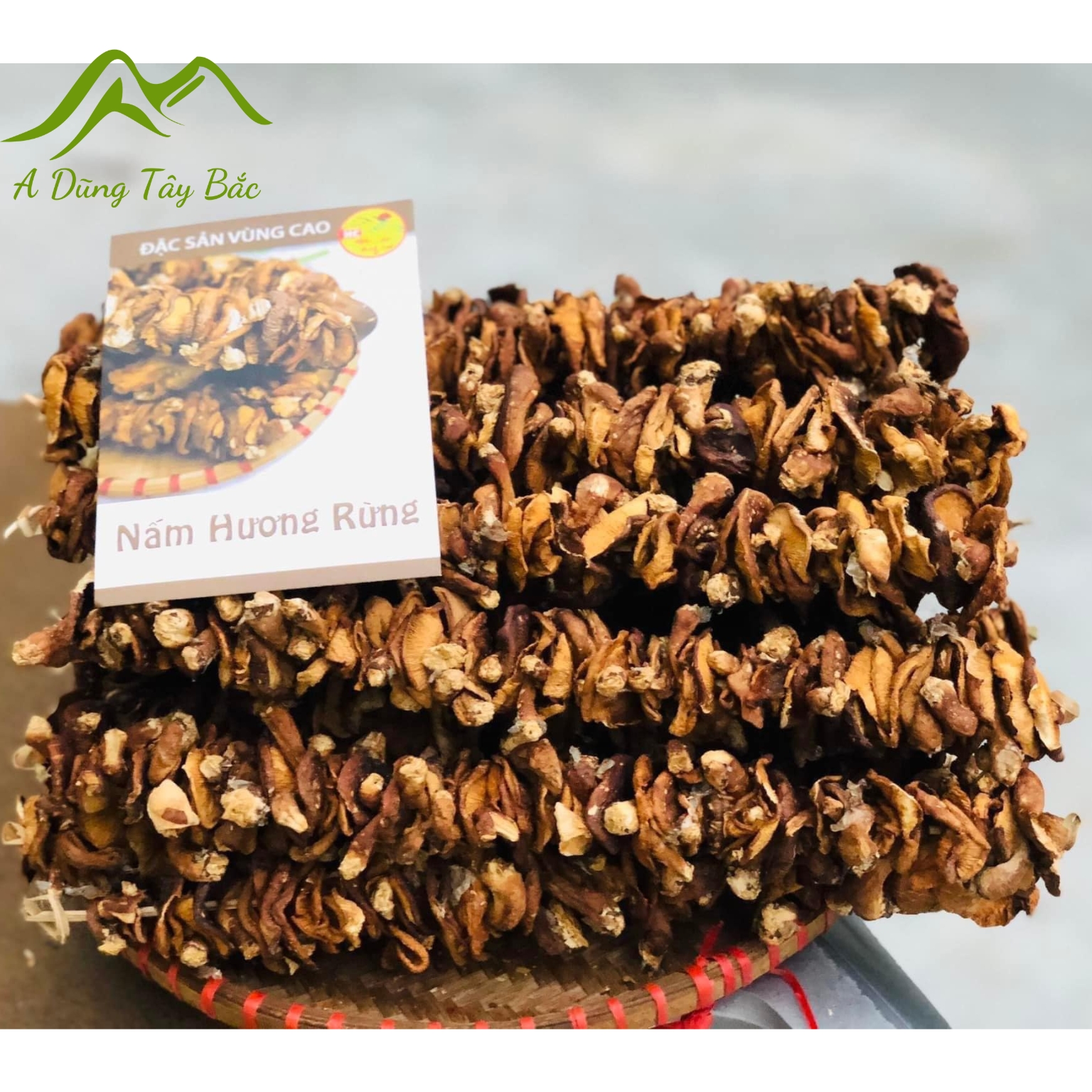 Nấm hương rừng Tây Bắc phơi sấy khô từ nấm hương rừng tươi tự nhiên, đặc sản nấm đông cô, nấm hương rừng xiên que sapa 1kg