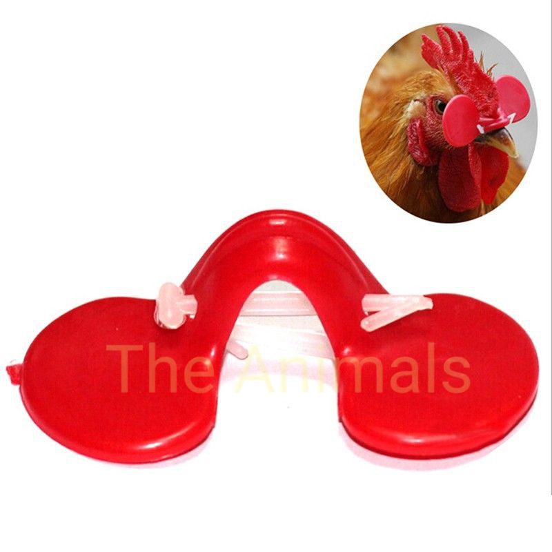 Kính chống mổ lông ở gà set 10 cái